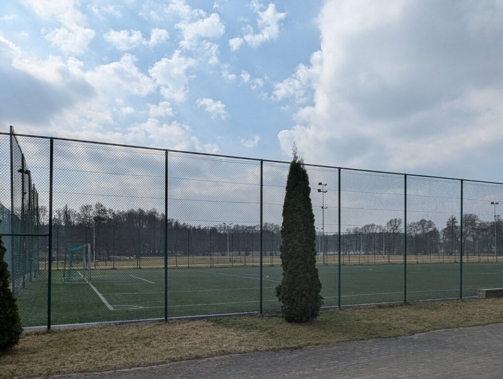 486563336 1477618996944025 1823965387657028740 n