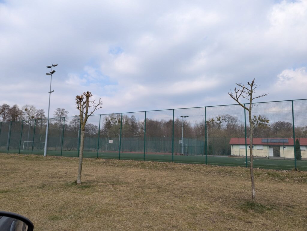 486637780 1477618343610757 9162913459617903069 n